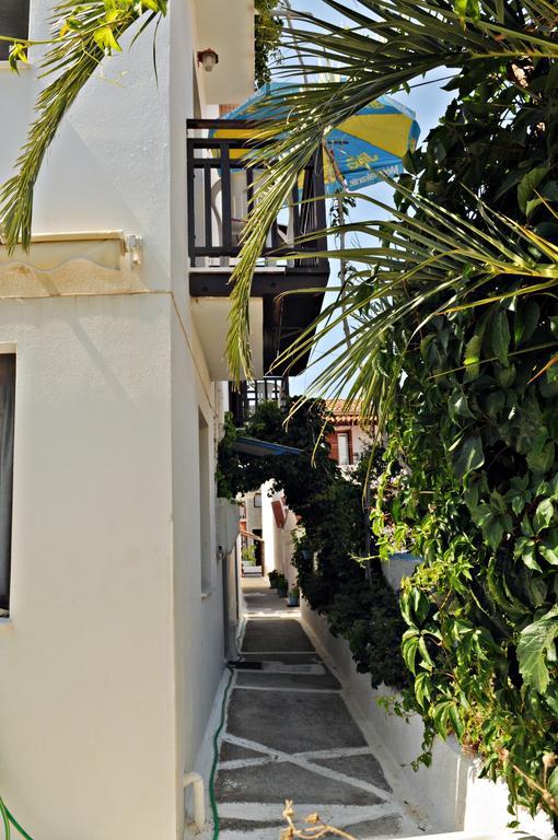 Apartment Dimitris Studios